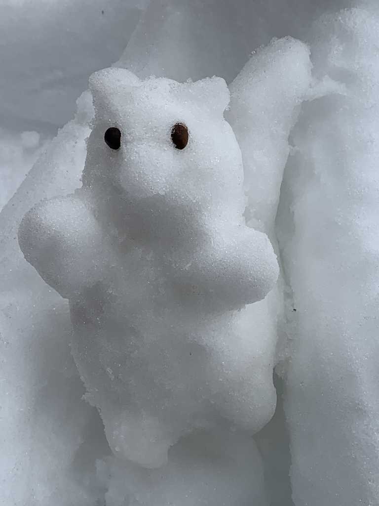 octo and squirel4 .jpg
