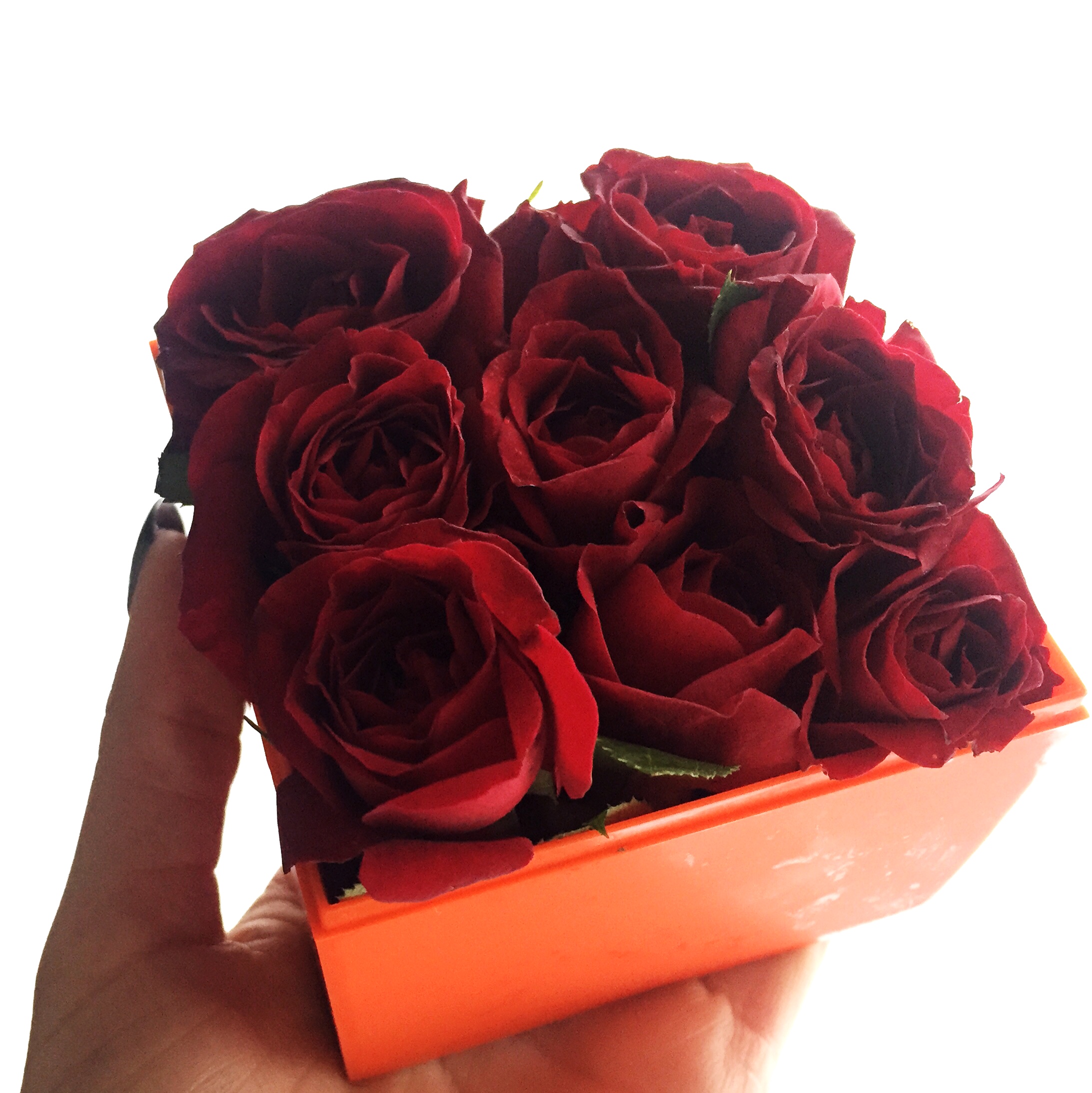 Jenna made this little "bed of roses" herself at a local florist shop! It will last for 10+ days!