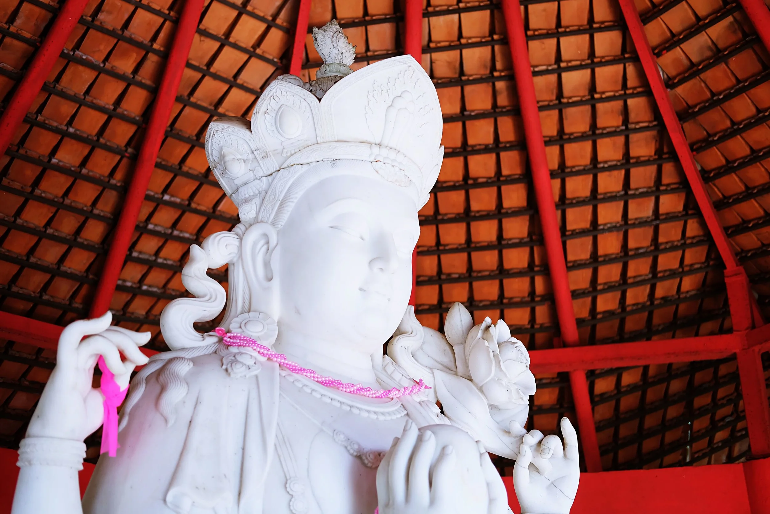 DSCF8052.jpg