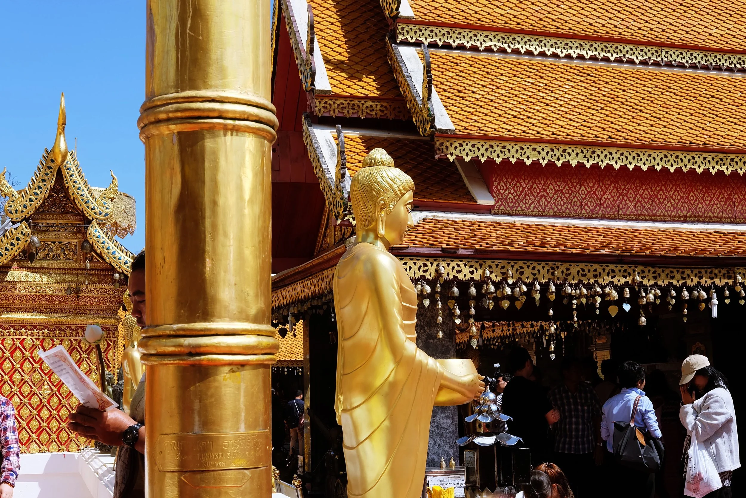 DSCF8288.jpg