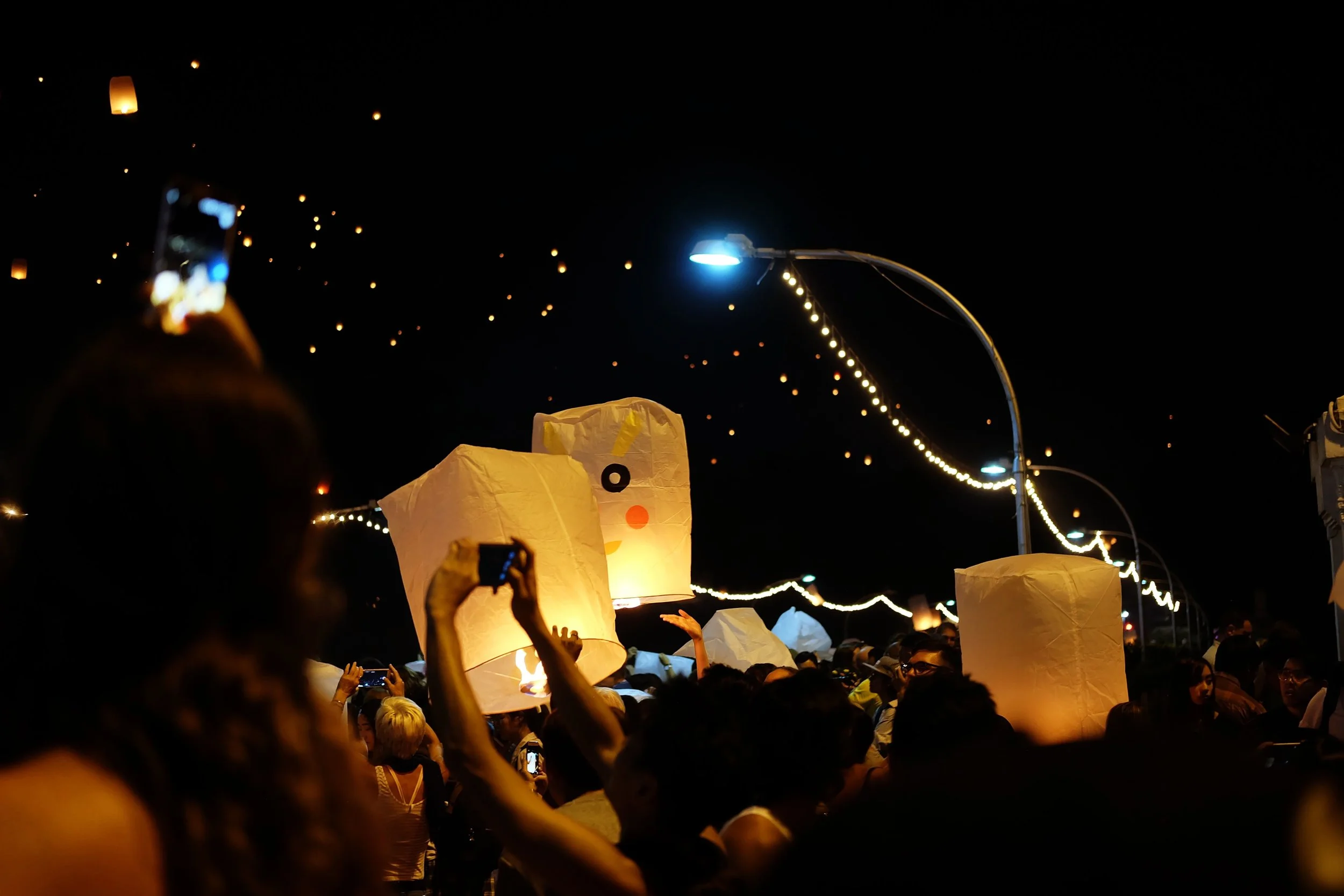 DSCF8515.jpg