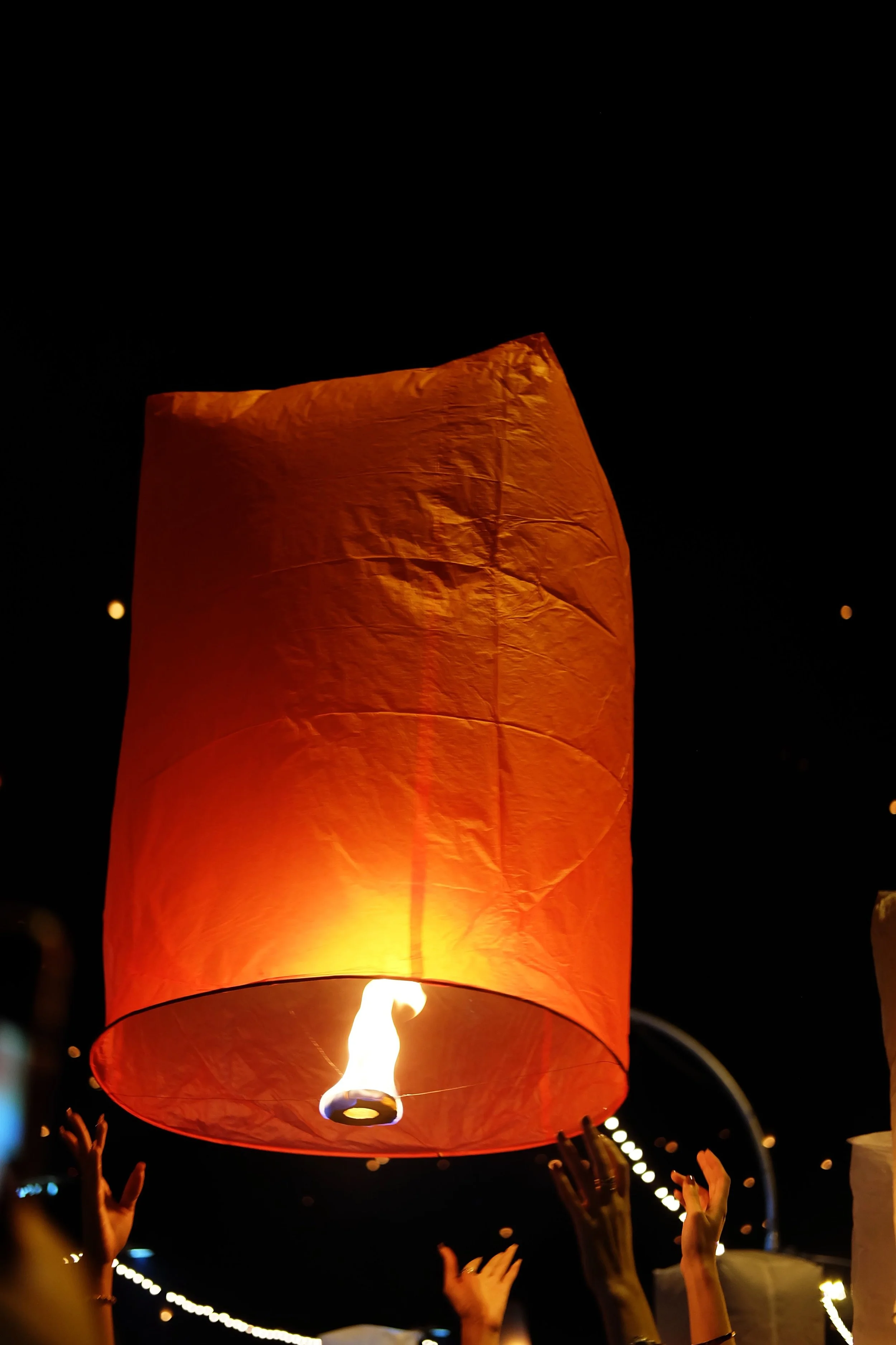 DSCF8522.jpg