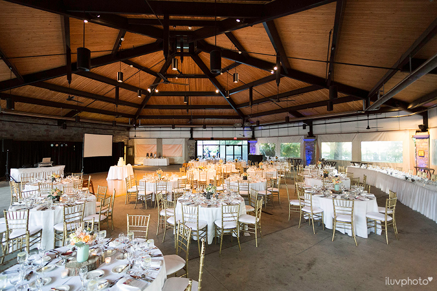 Brookfield-zoo-wedding-reception-decor-ideas-iluvphoto
