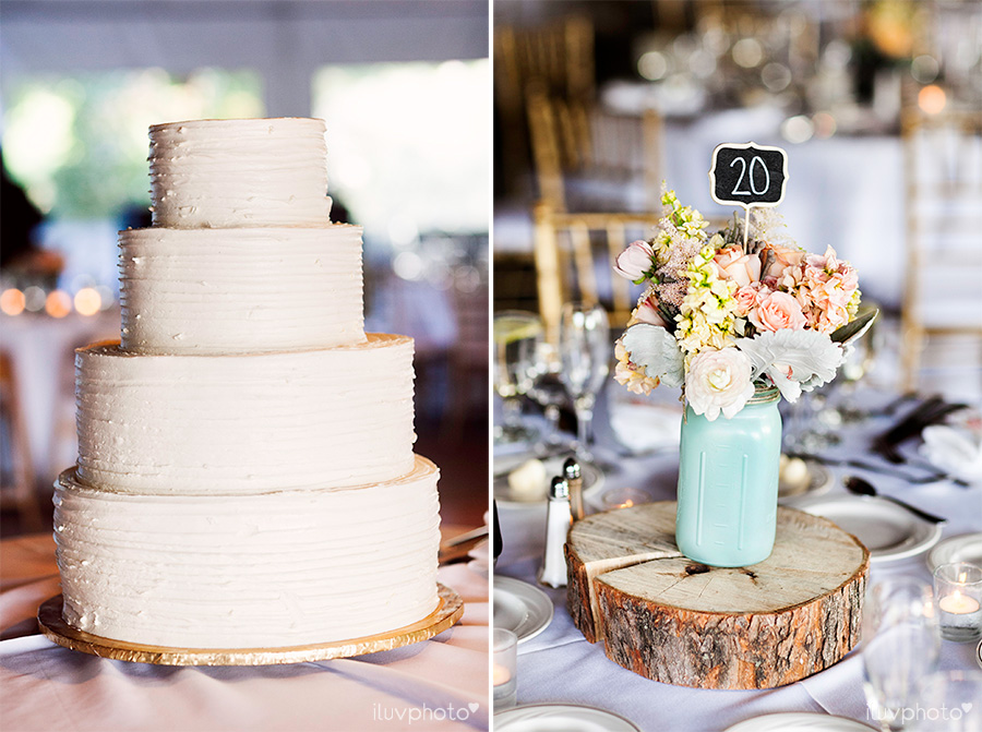 Brookfield-zoo-wedding-cake-iluvphoto-reception-decor