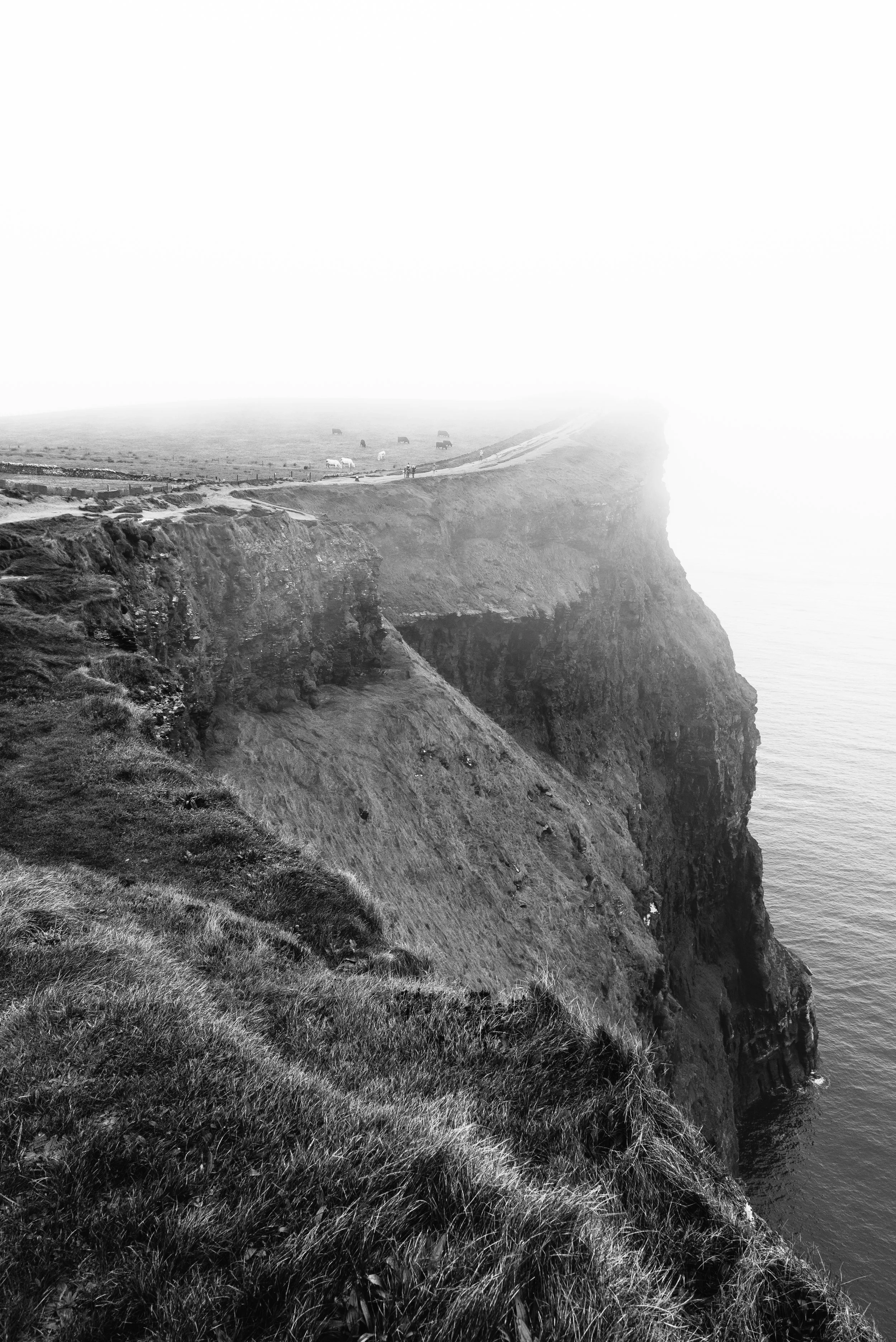 Ireland 2017_0071.jpg