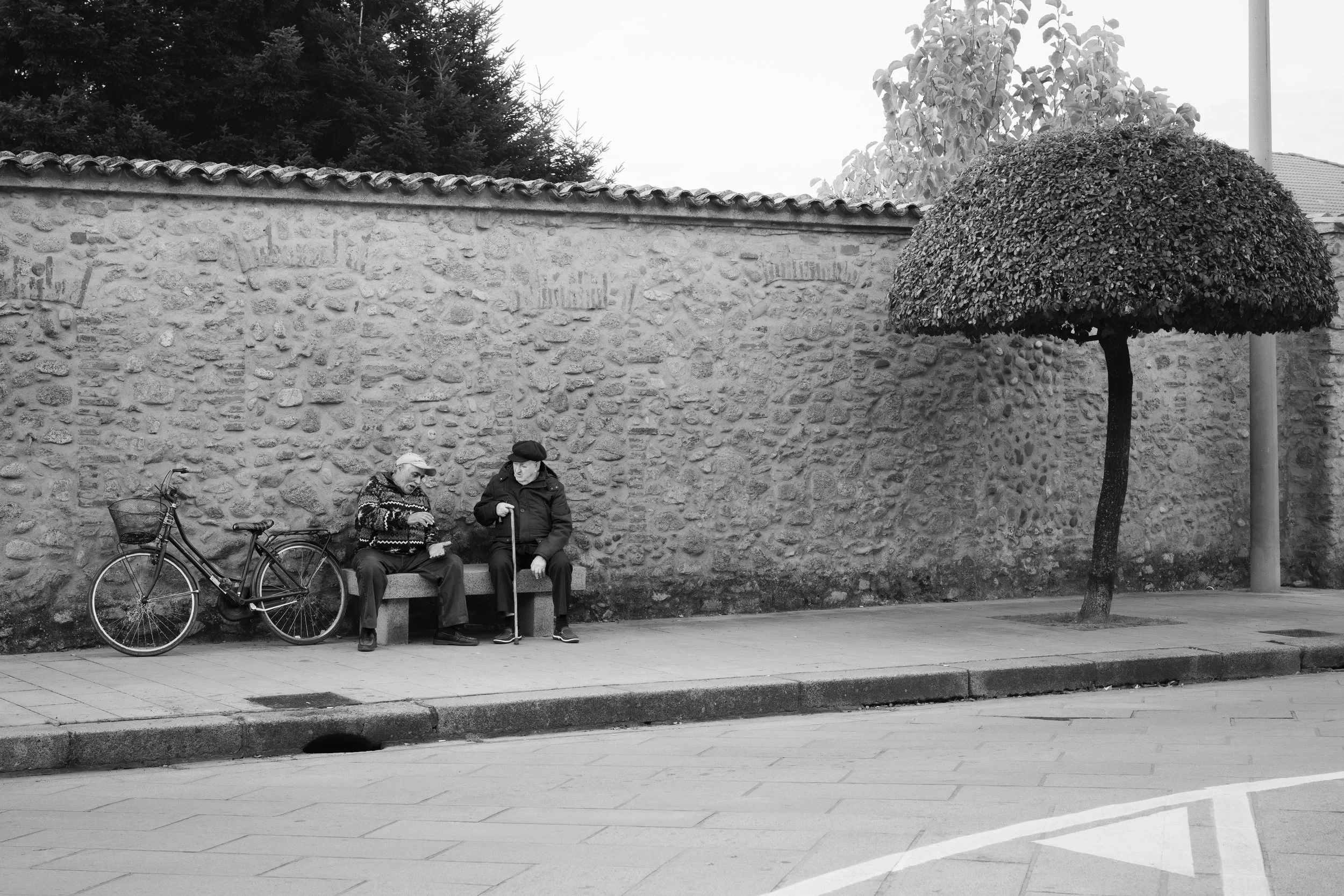 20241028-1116_Italy_0416.jpg