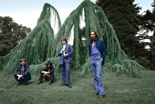 Weeping+Atlas+Cedar+Trees_Beatles.jpg