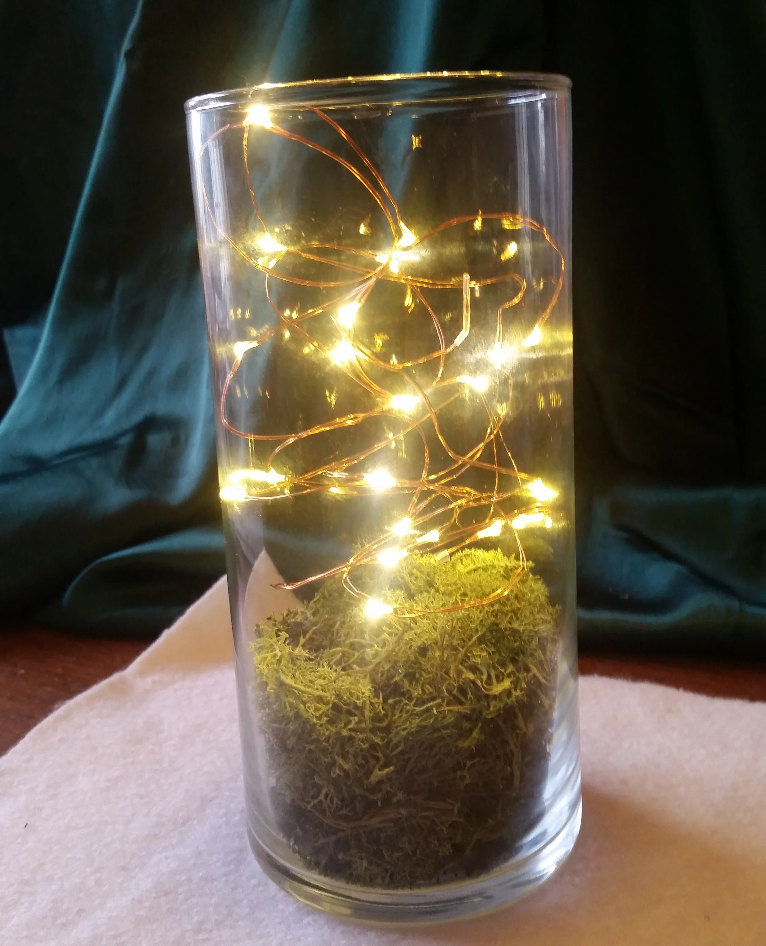 fairy lights and moss.jpg