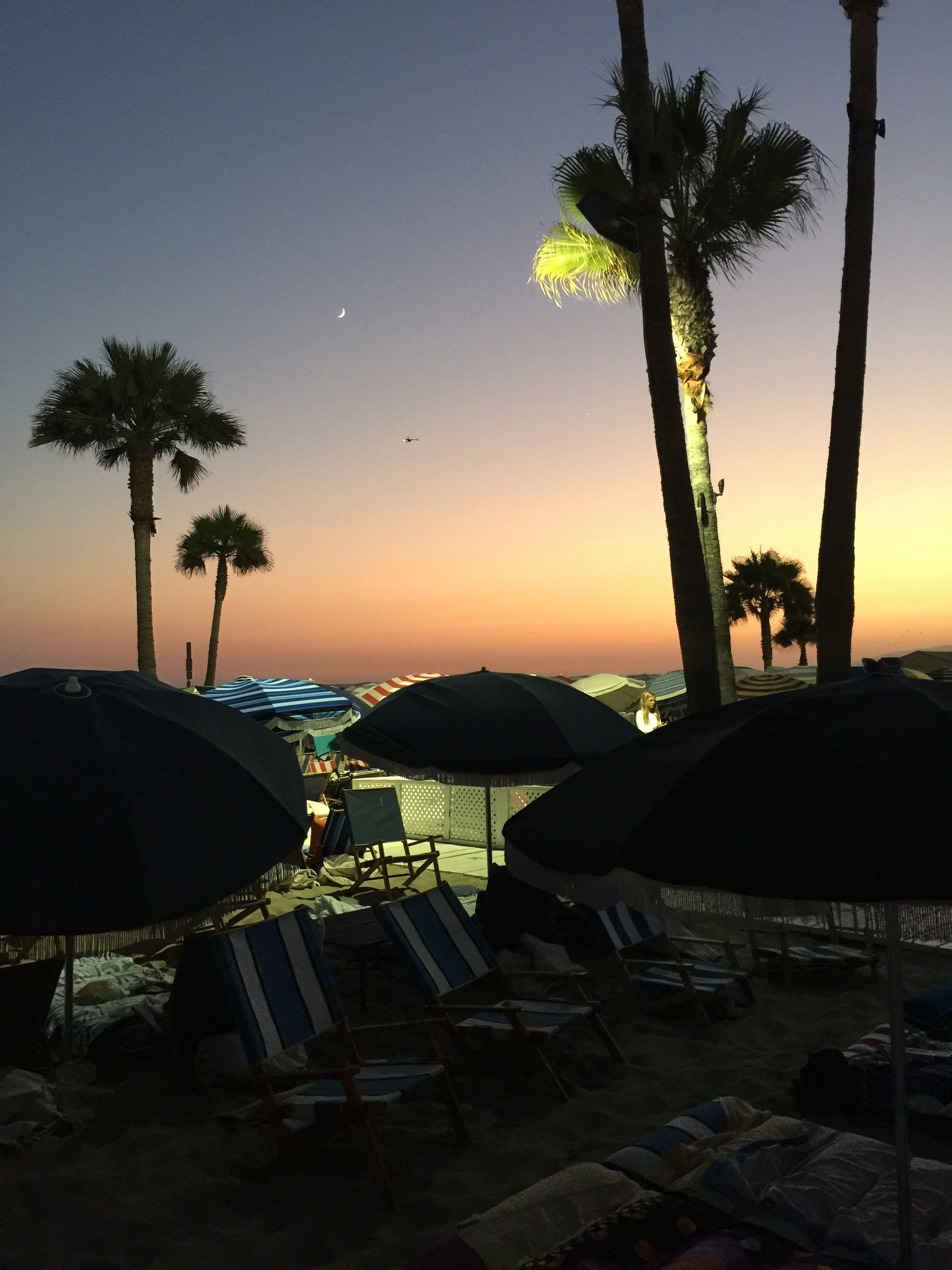 Endless Summer