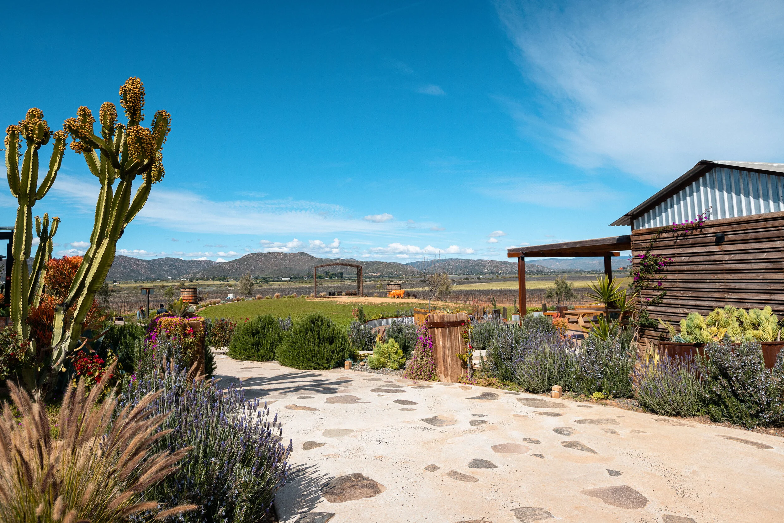 mar2020-finca.jpg