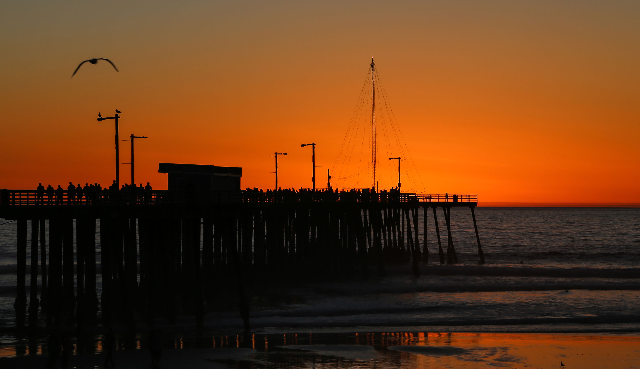 Nature-Pismo-sunset-orange-2.jpg