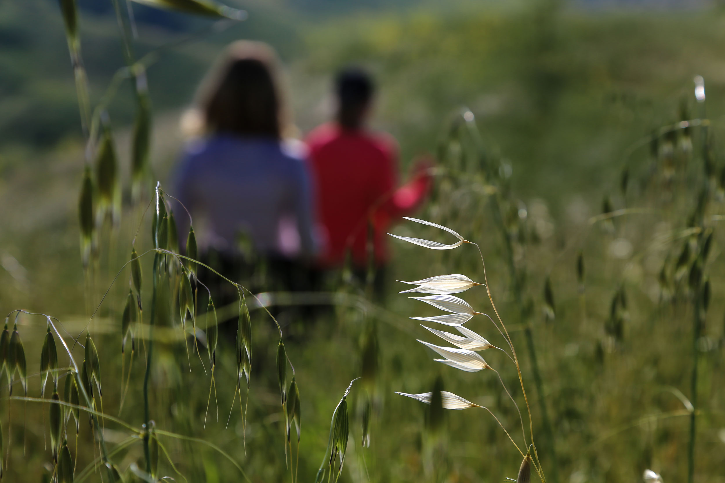 Nature-white-buds-soft-hikers.jpg