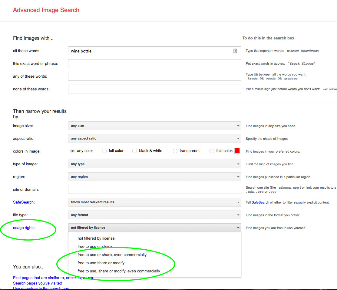 Pics-Google-Advanced-Image.jpg