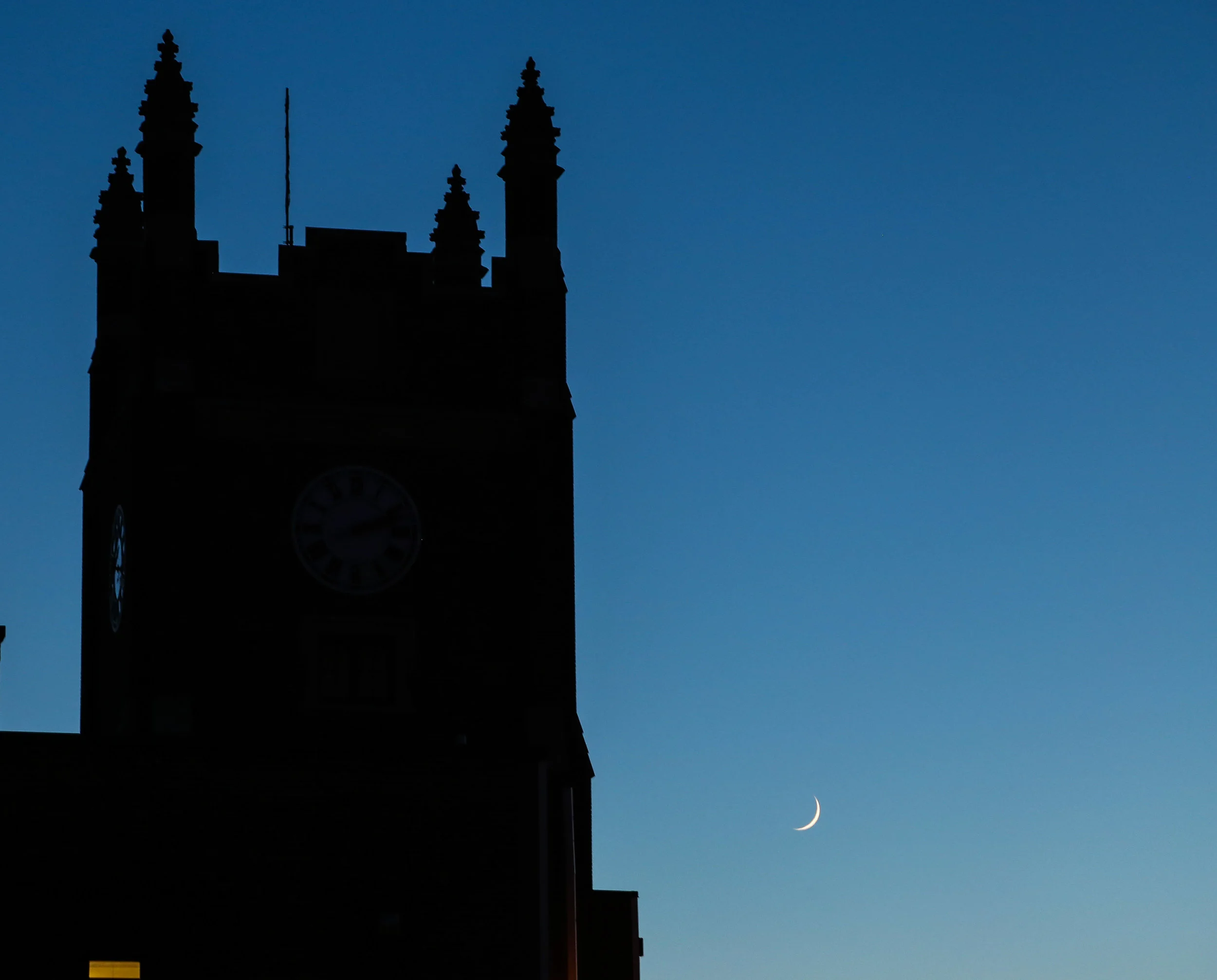 IMG_5264-2 copy.jpg