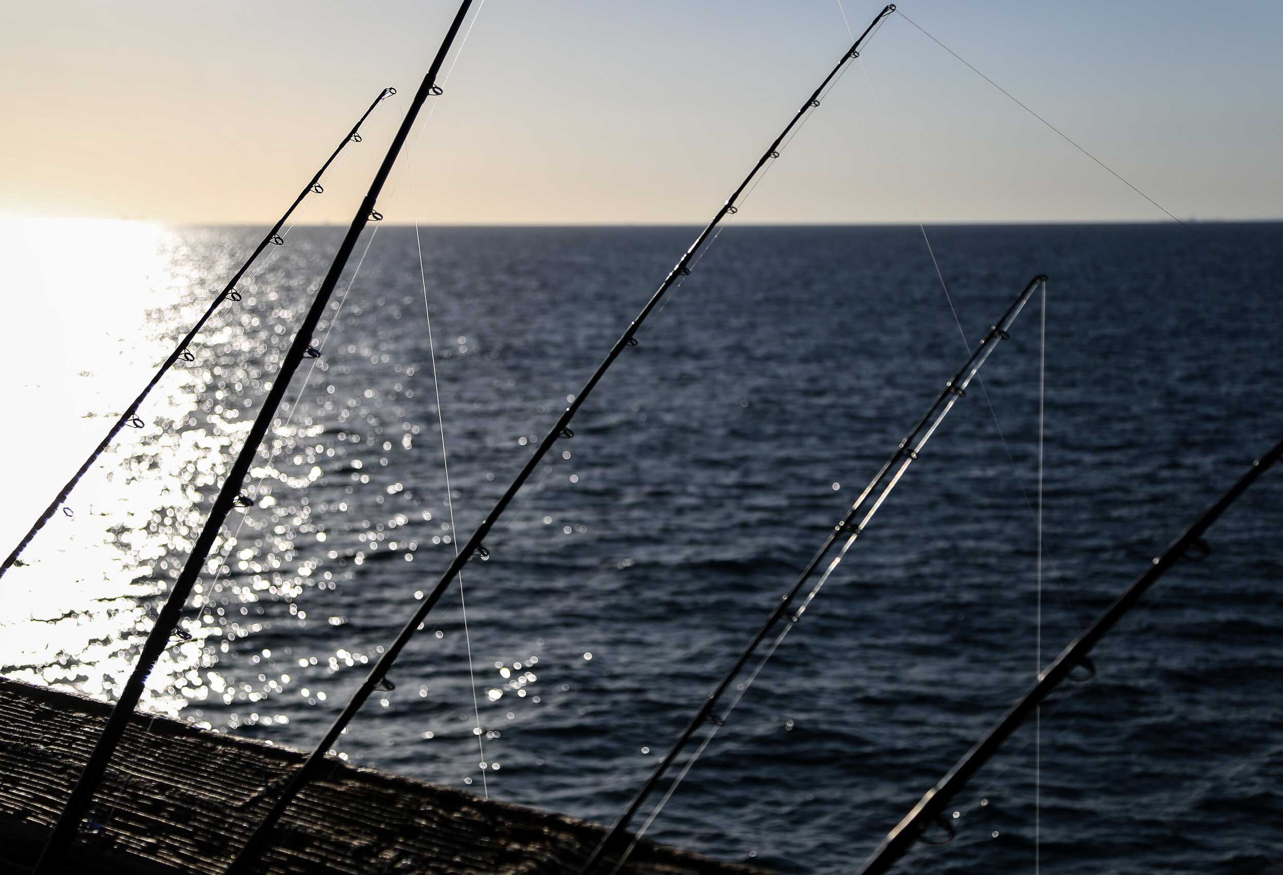 fishing-poles-1.jpg