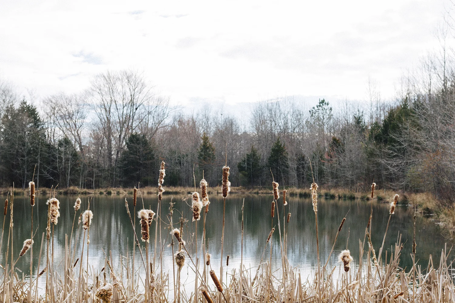 SpotsylvaniaCourthouseArea_0035.jpg