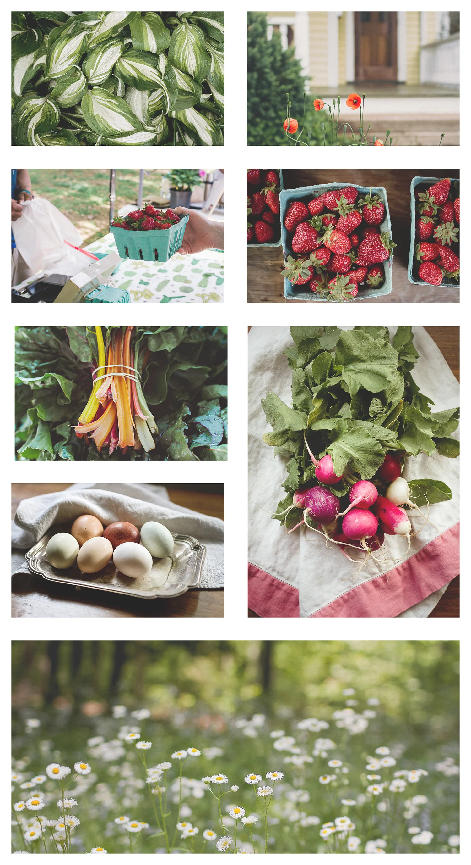 FarmersMarket_Collage_forBlog.jpg