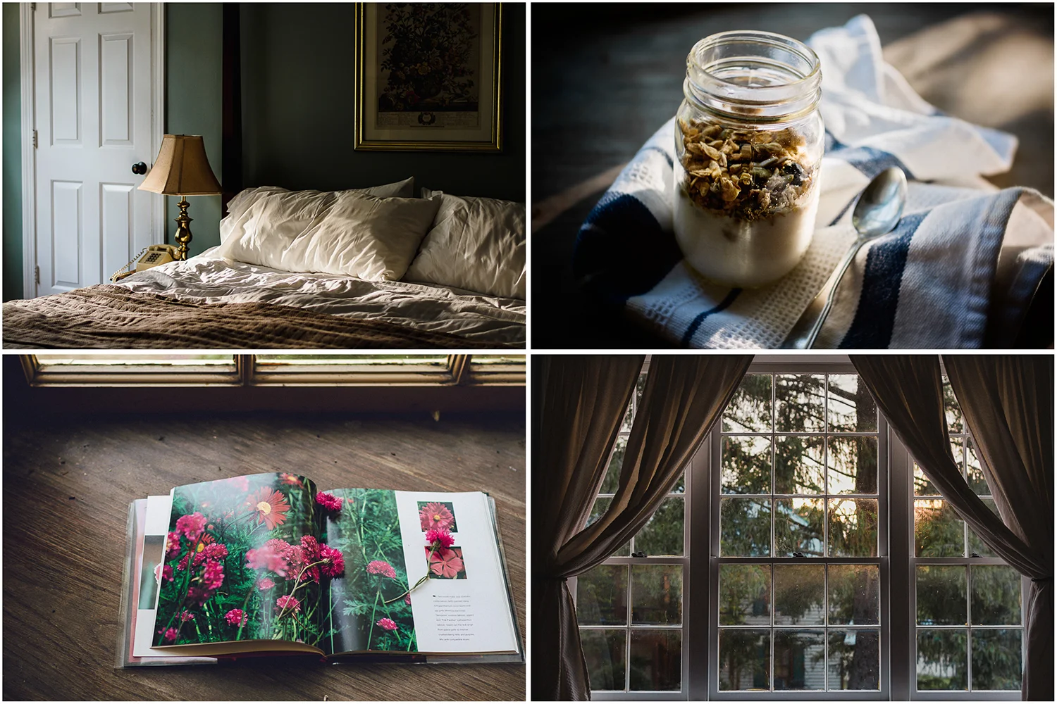 Breakfast in Bed Flower Identification Golden Light