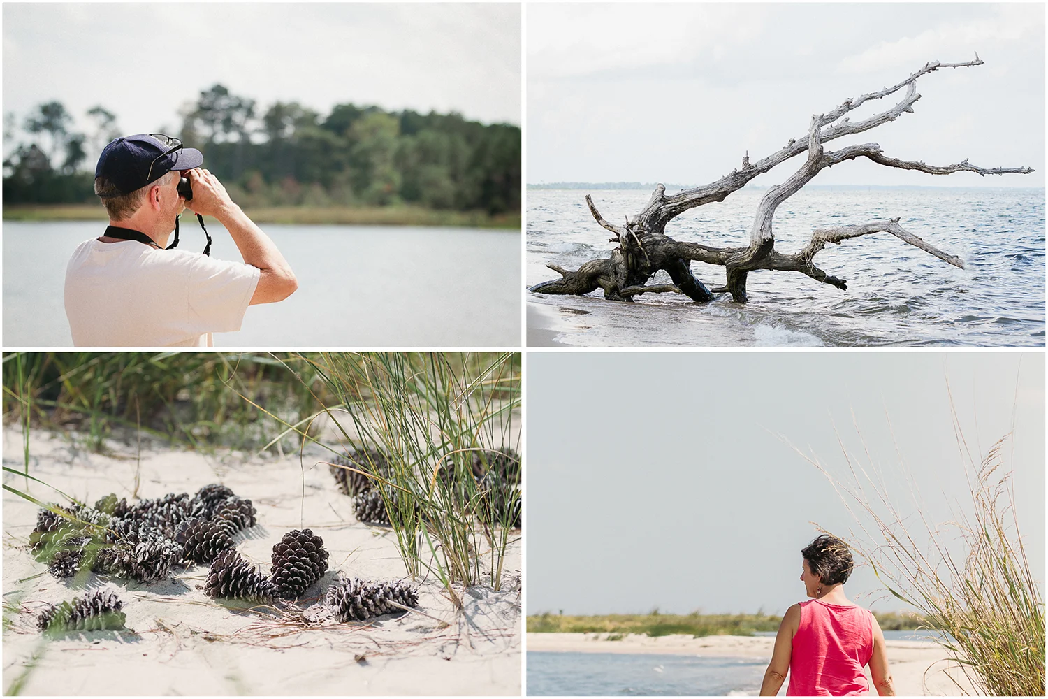 Hughlett_Point_Collage2.jpg