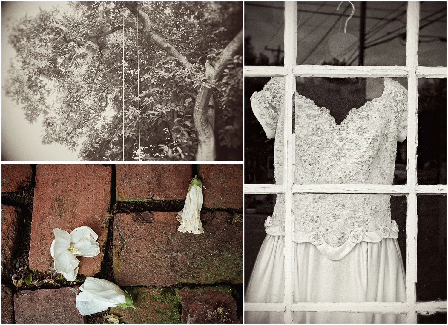 WeddingGown_Collage.jpg