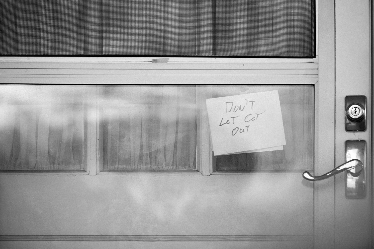Sign_onDoor_Cats_0003_BW.jpg