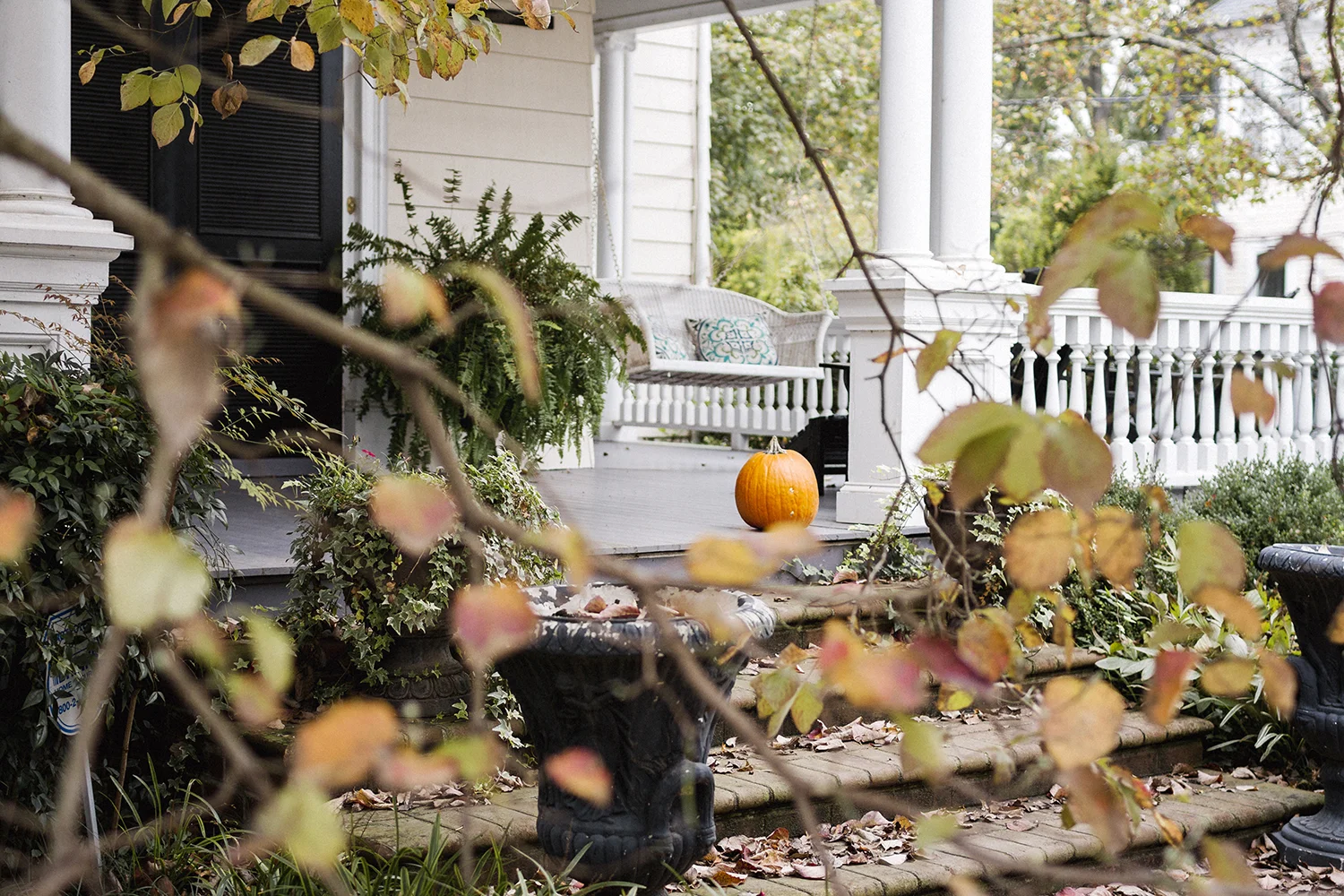 Pumpkin_through_Leaves_0001.jpg