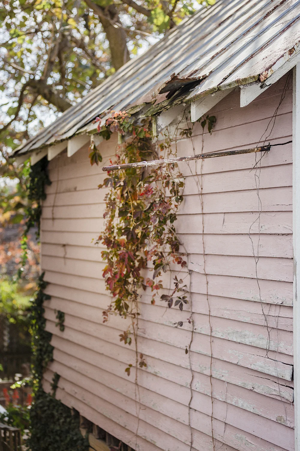 Warrenton_Fall_0031.jpg