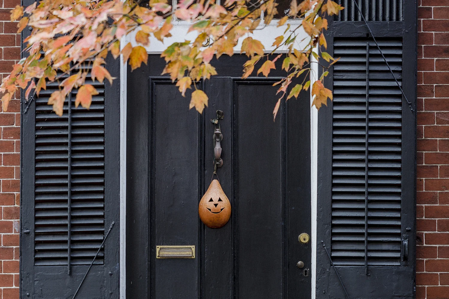 Neighborhood_Views_0005.jpg