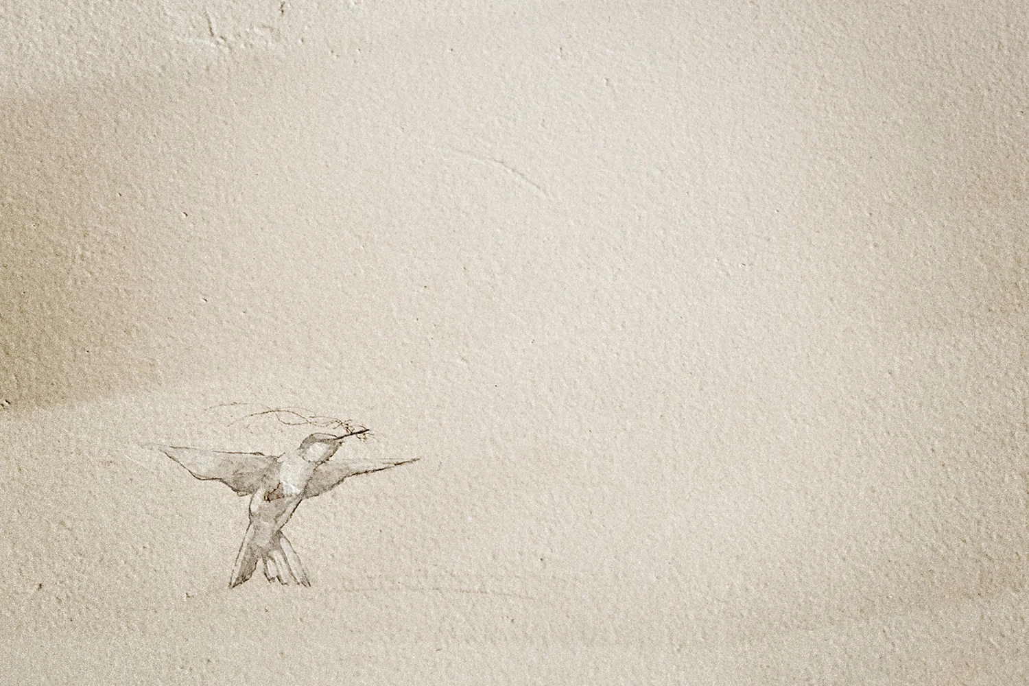 Sugar_and_Twine_Birds_0040_crop.jpg