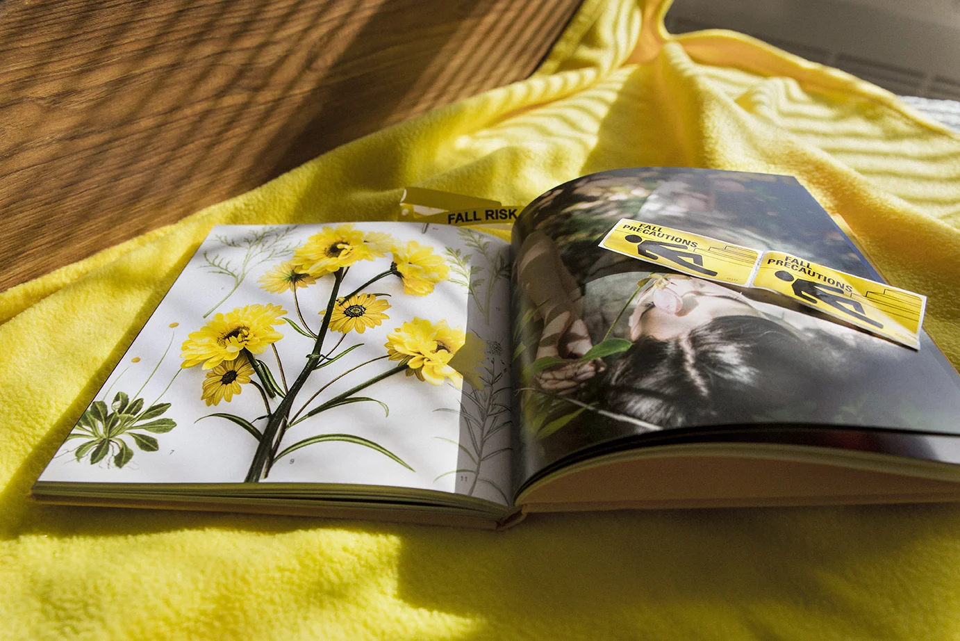 Yellow_FallRisk_0050.jpg