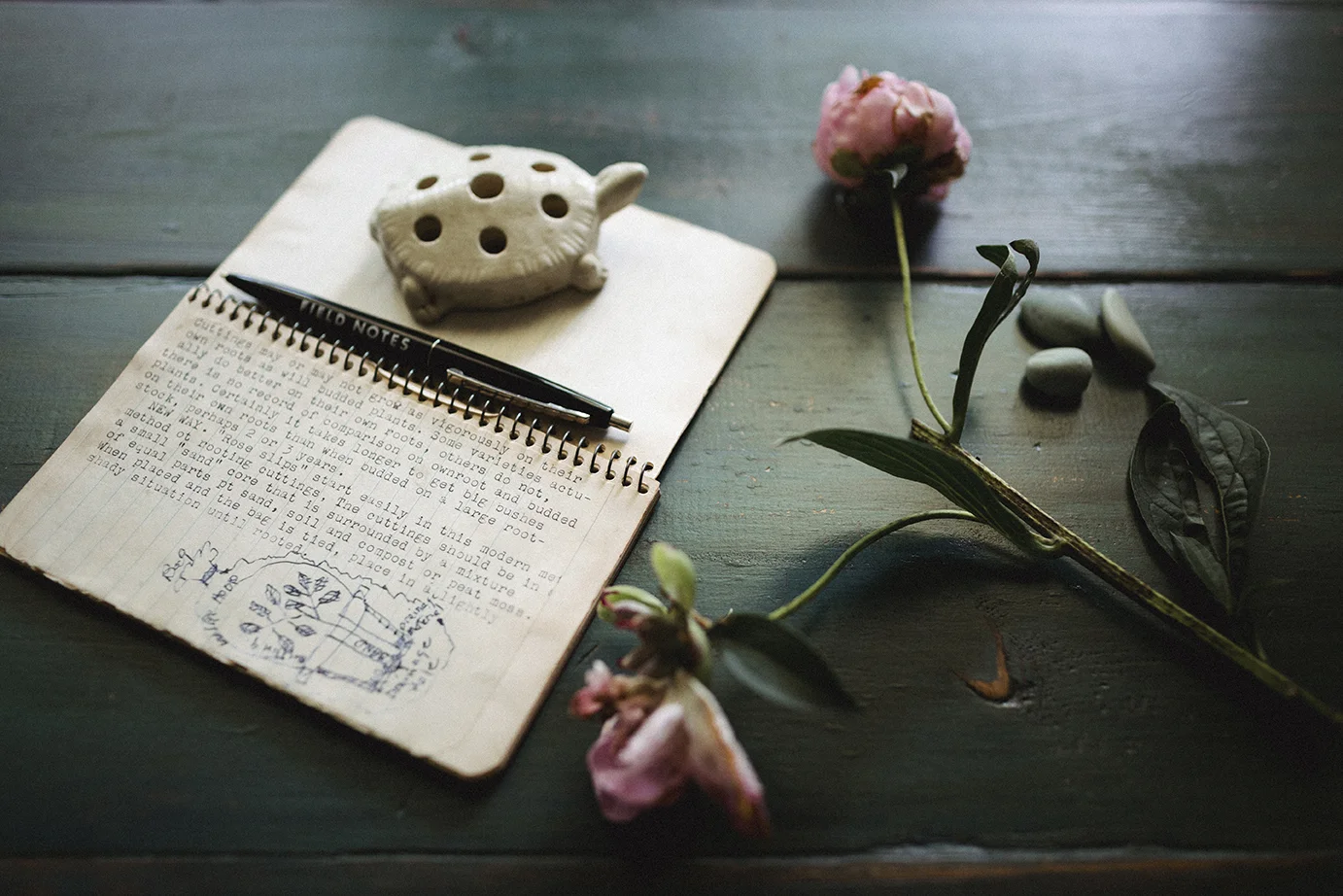 GardeningJournal_and_Peony_0042.jpg
