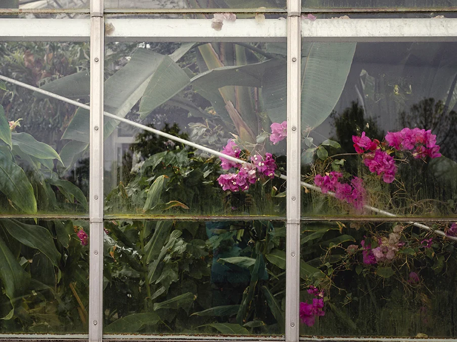Lewis Ginter Botanical Garden | Richmond, Virginia