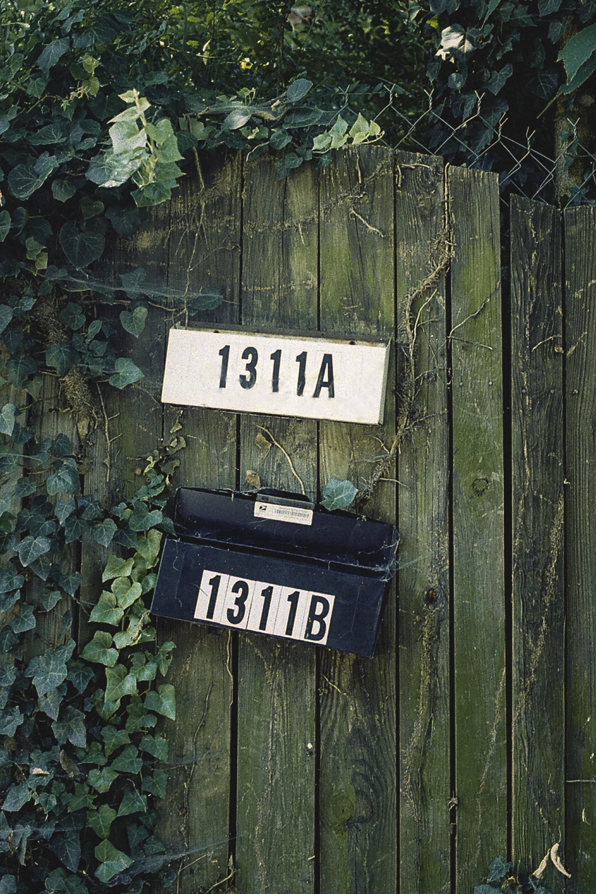 mail boxes on fence
