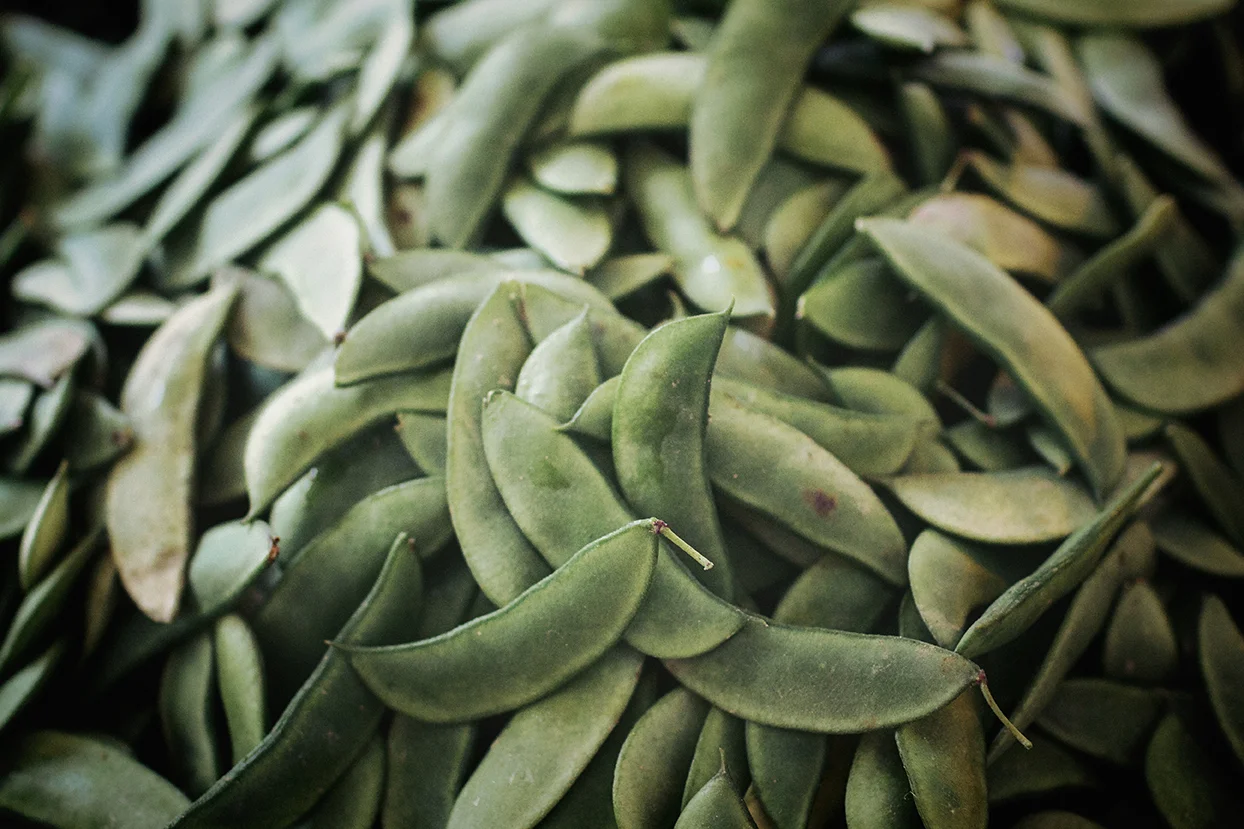 FarmersMarket_EarlyMorning_0011.jpg