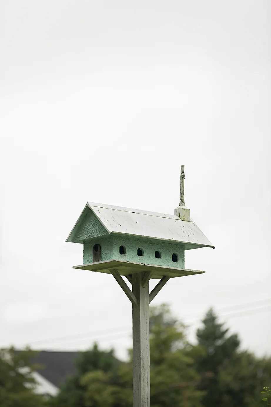 Birdhouse_LafayetteBlvd_0008.jpg