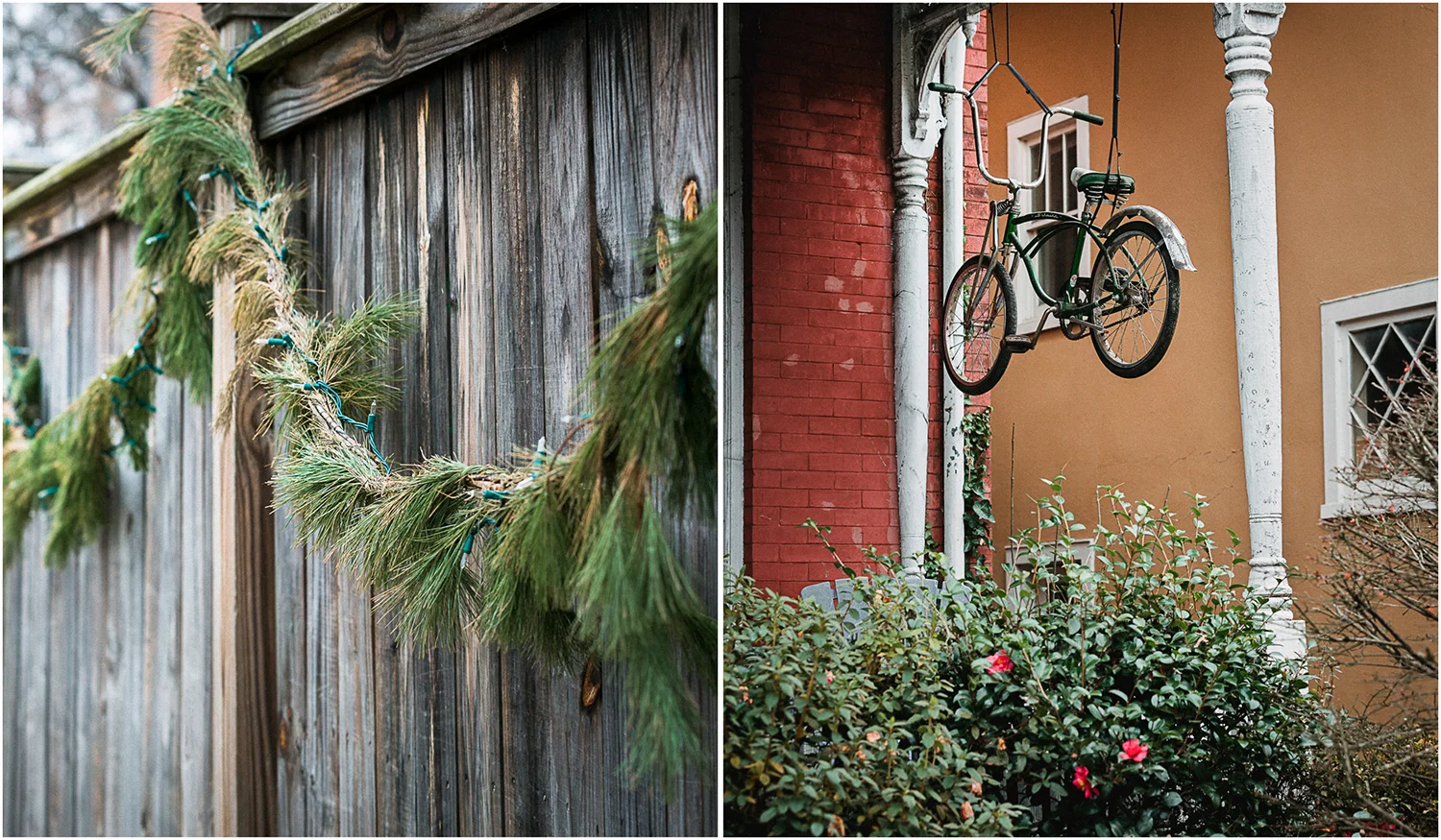 PineBoughs_Mums_Diptych2.jpg
