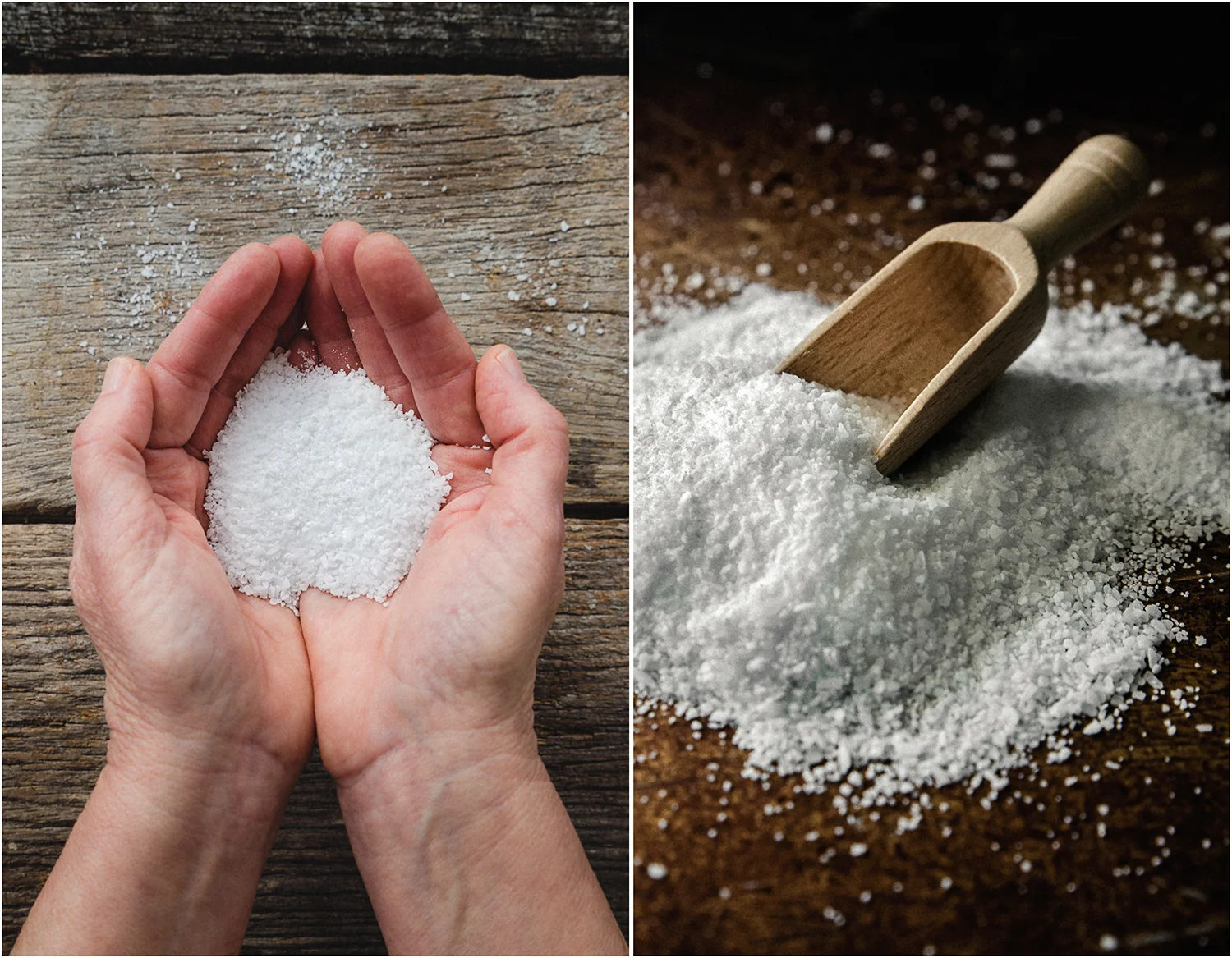 Salt_Diptych.jpg