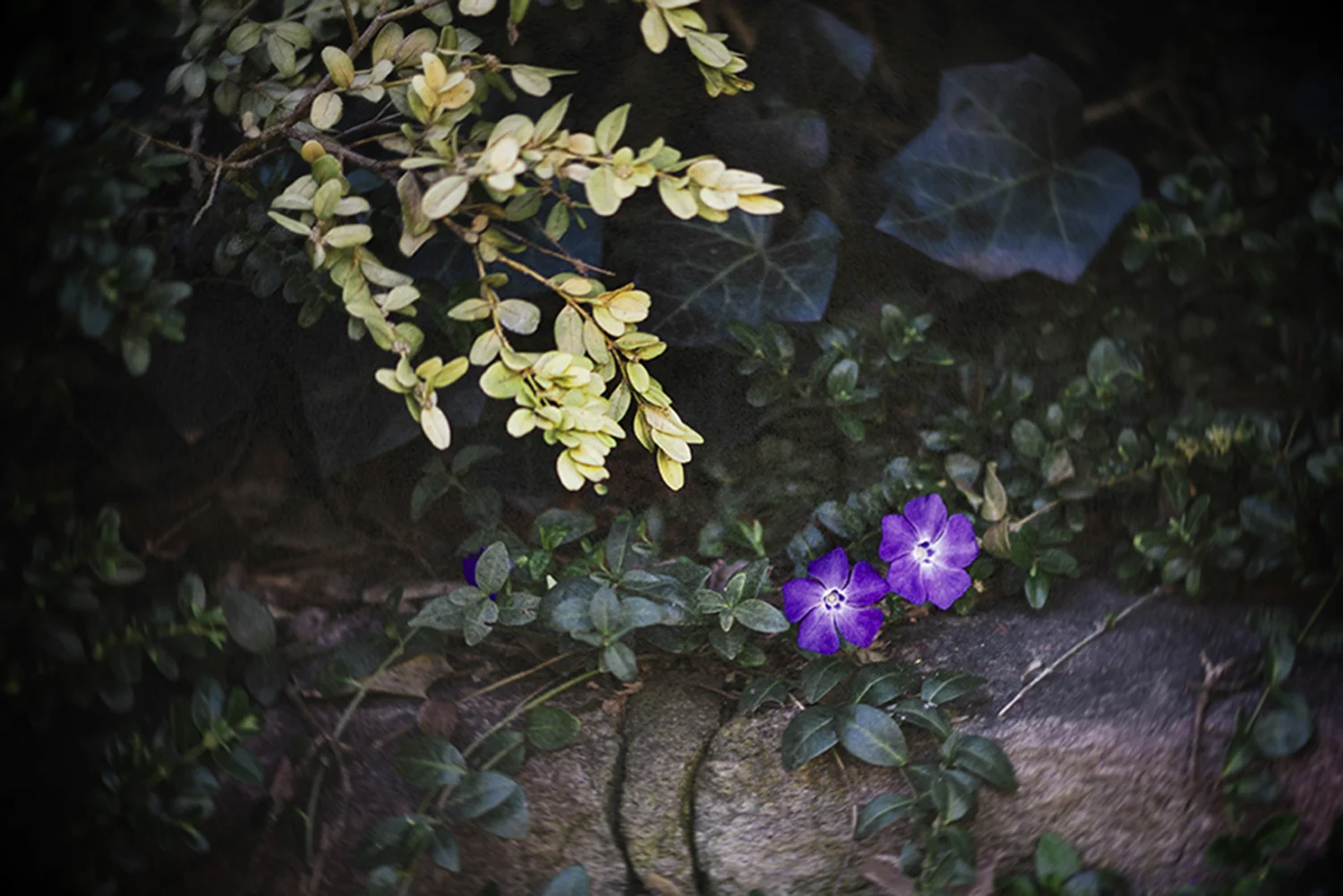 JustChecking_0014_crop.jpg