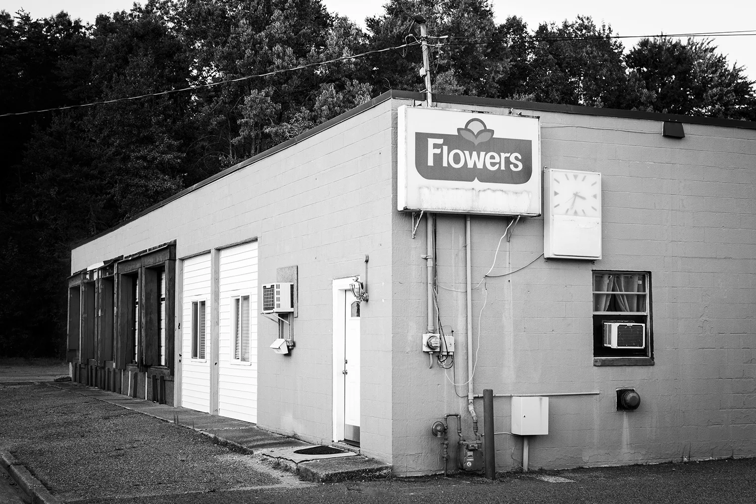 Closed Flowers Bakery, 2017, Fredericksburg, Virginia