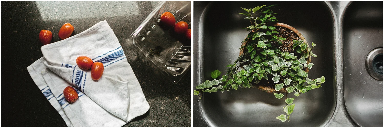 Plant_in_sink_Tomatoes_on_counter_Diptych.jpg