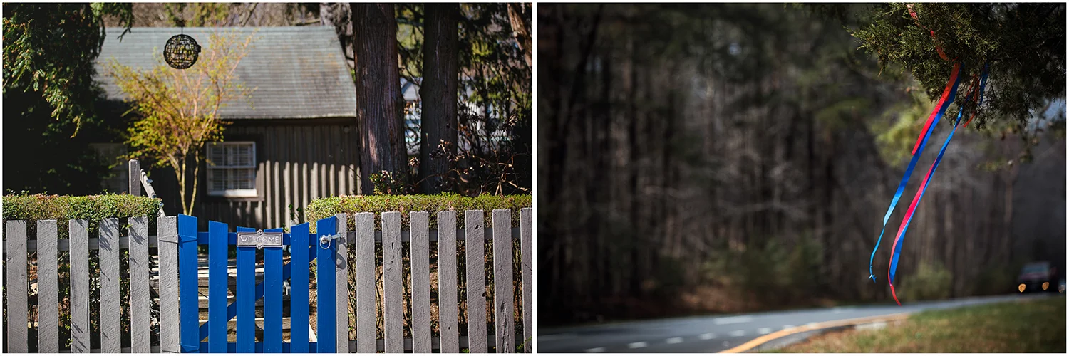 Streamers_BlueGate_Diptych.jpg