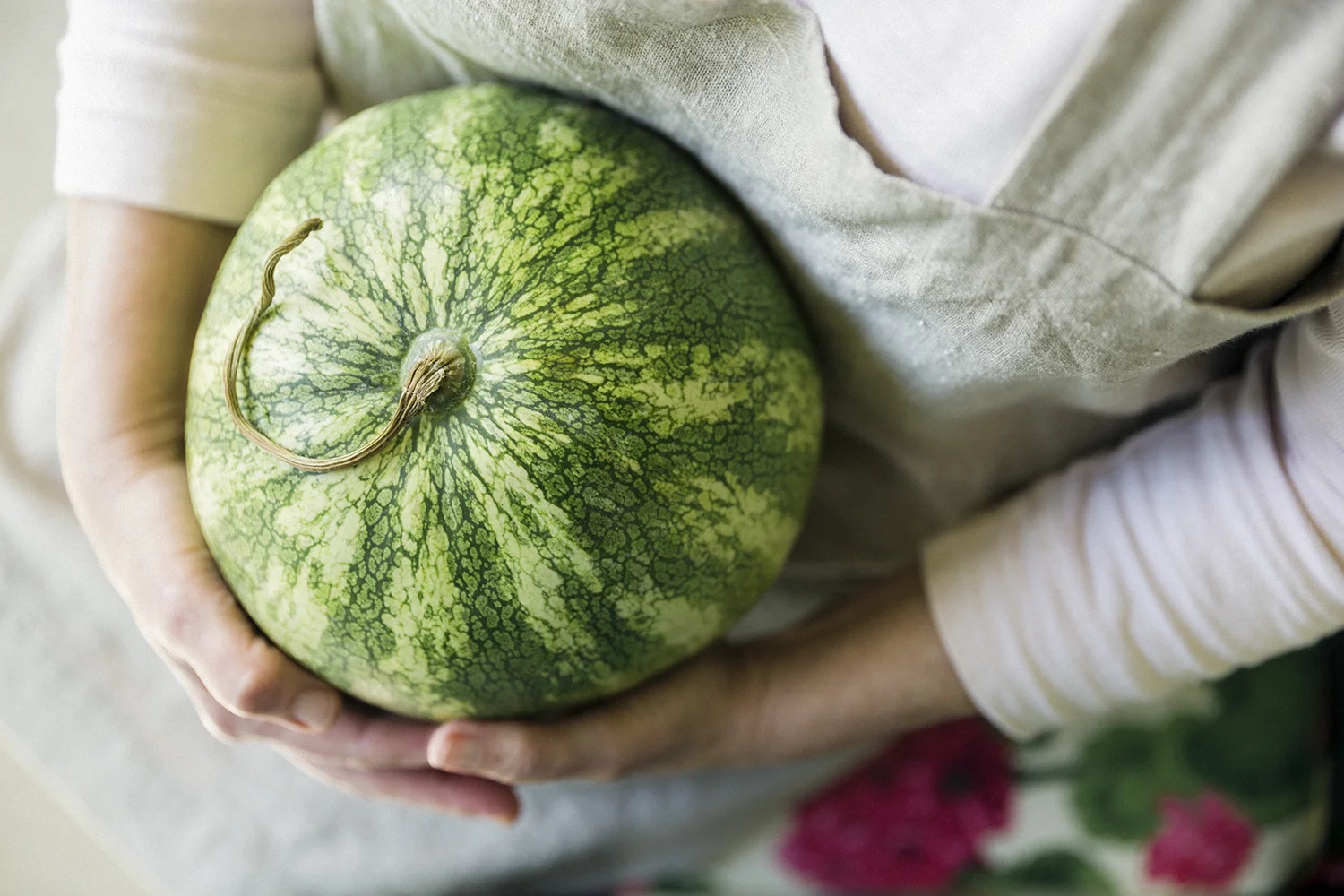 Watermelon_with_pigtail_0015.jpg