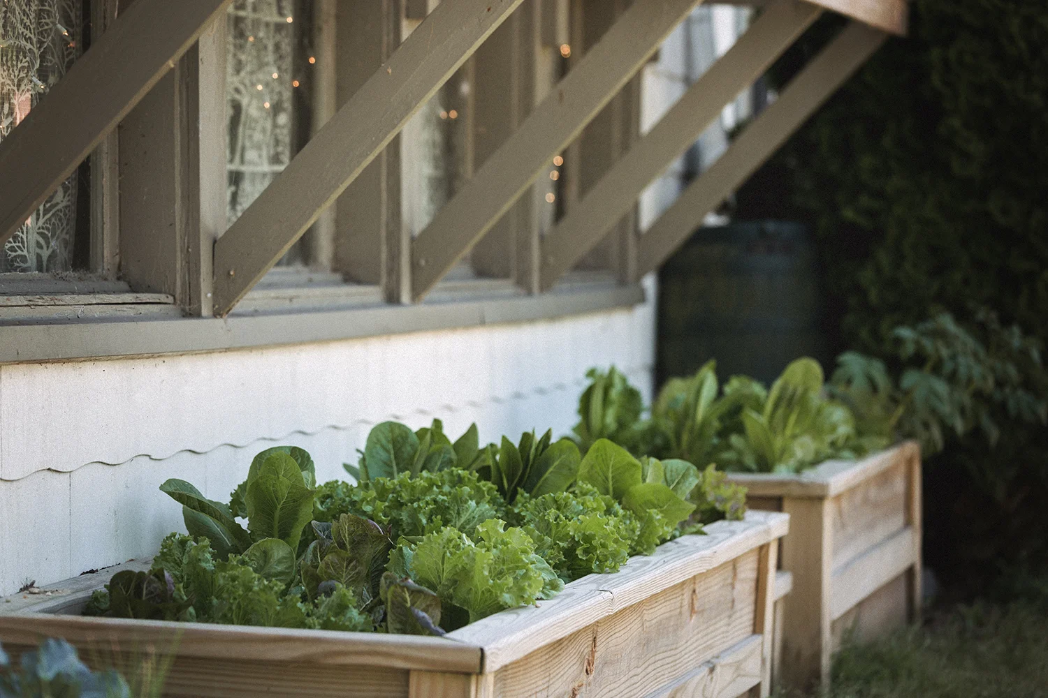 TidesInn_Market_Greens_0004.jpg