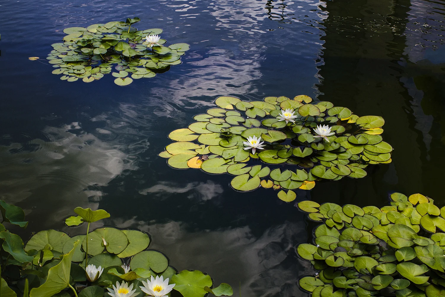 VMFA_0034.jpg