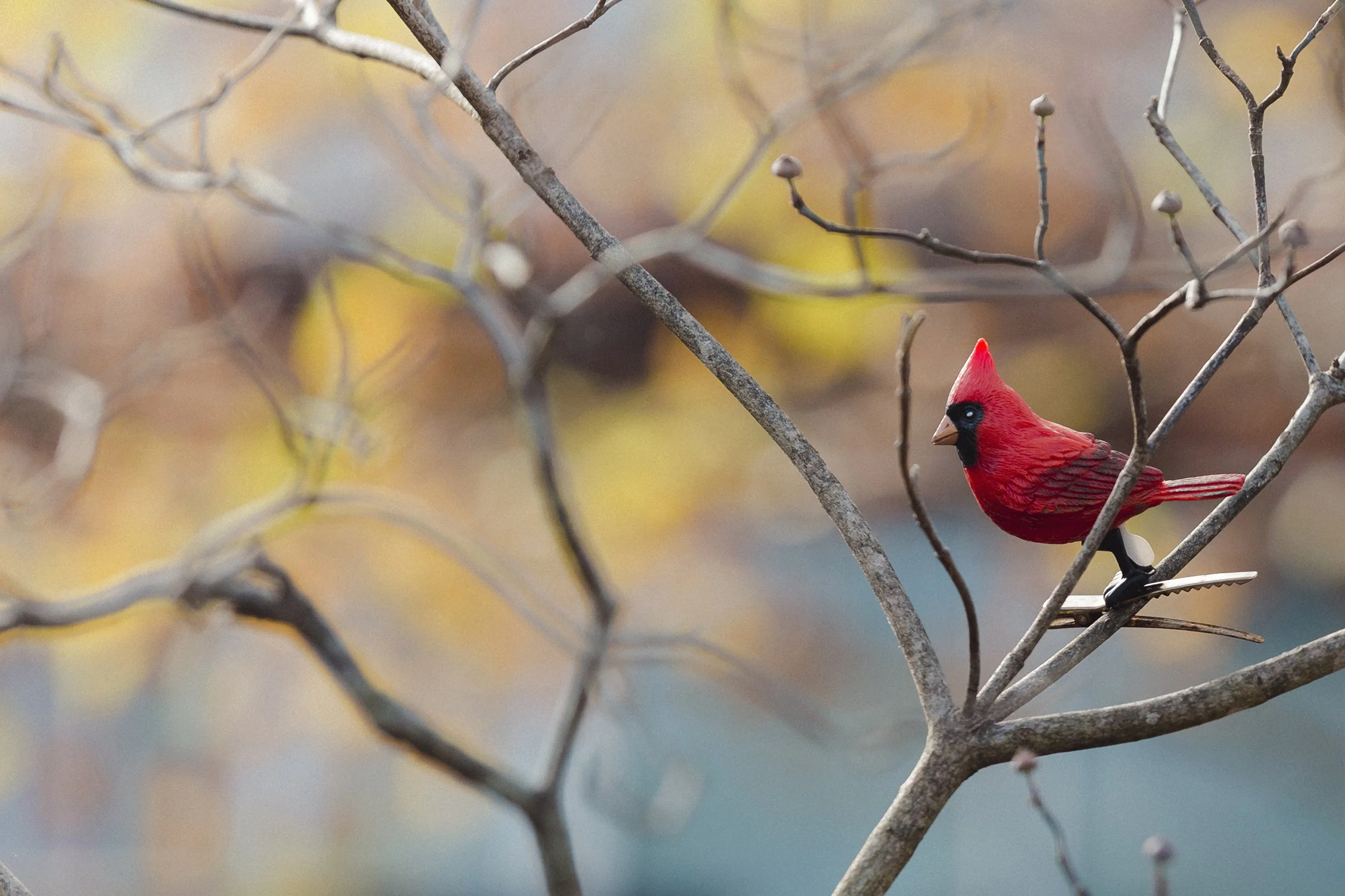 Artificial_Birds_in_Tree_Cville_0004.jpg