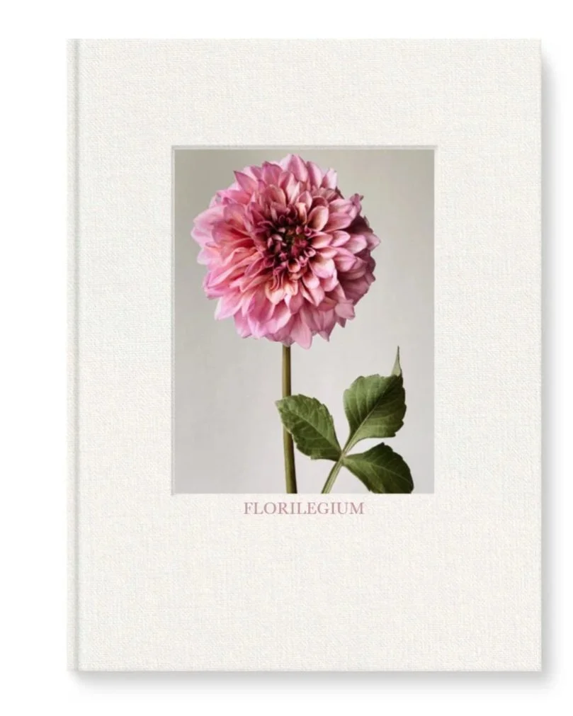 Cover_6.jpg