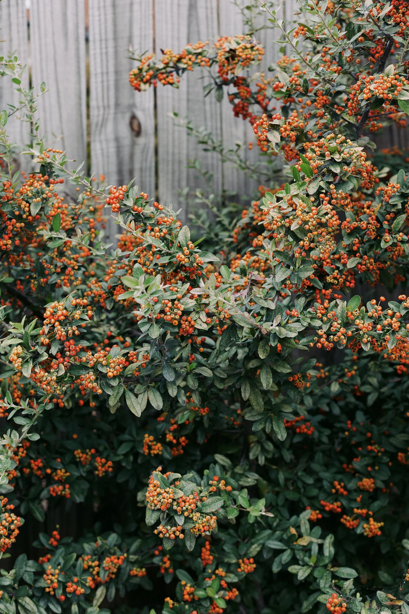 Saturday_Sampler_0020.jpg