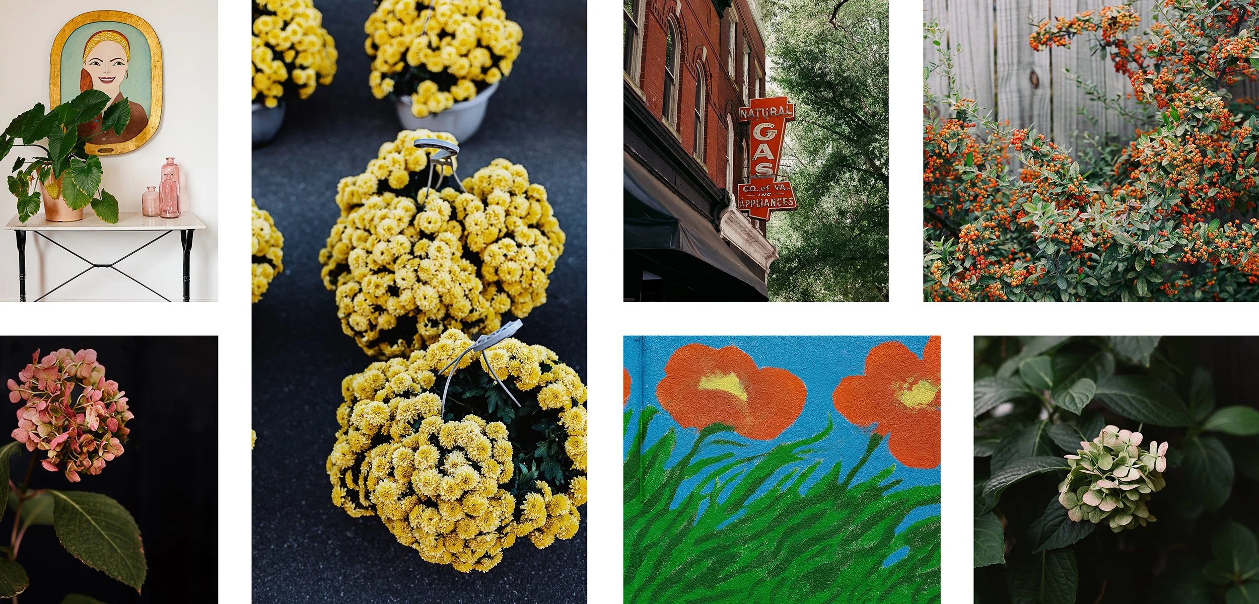 Saturday_Sampler_Collage3.jpg