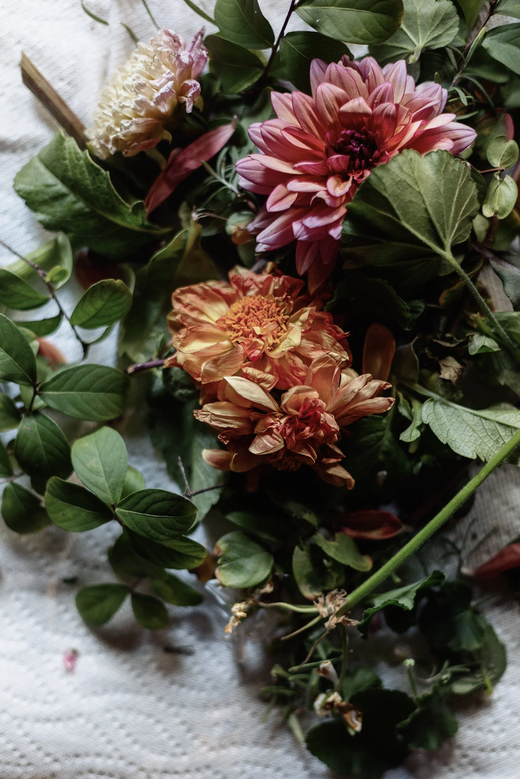Dahlias_and_Apple_Still_Life_0029.jpg