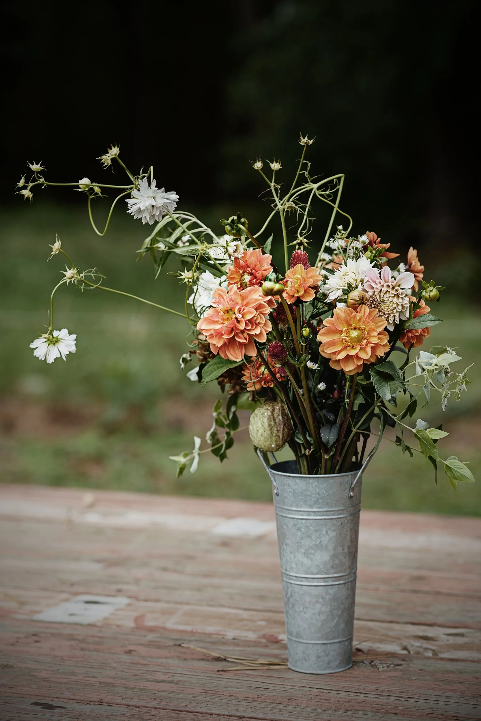 Freckled_Flower_Farm_Fall_0059.jpg